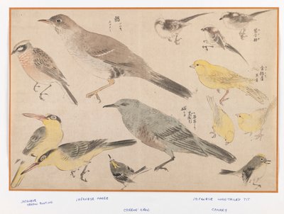 Pájaros en estilo Okyo de Japanese School