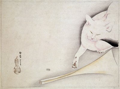 Gato, dibujo japonés, s.f. siglo XIX de Japanese School