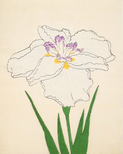 Cho-Hiyen, No. 91, 1890 de Japanese School