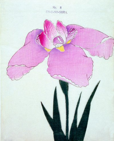 En-U-no.-Sora, no.8, 1898 de Japanese School