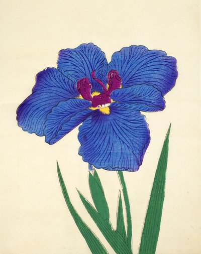Gosetsu-no.-Mai, no.9, 1898 de Japanese School