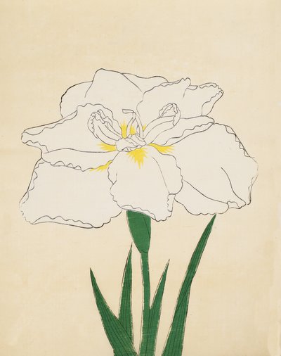 Haku-O-Den, No. 40, 1890 de Japanese School