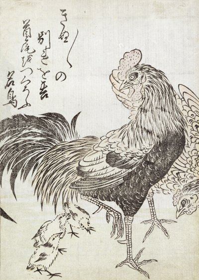 Gallina, gallo y pollitos de Japanese School