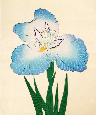 Irojiman, No. 80, 1890 de Japanese School