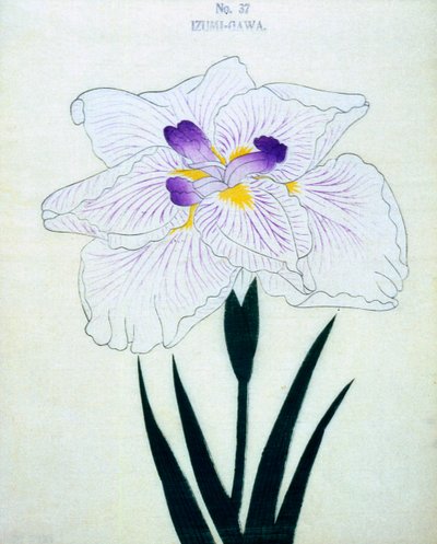 Izumi-Gawa, no.37, 1898 de Japanese School