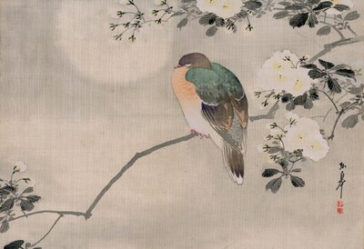 Pintura Japonesa de Seda de una Paloma Torcaz de Japanese School