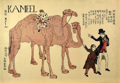 Kameel, pub. 1821 (xilografía coloreada) de Japanese School
