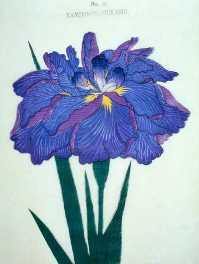 Kamiyo-no.-Mukashi no.16, 1898 de Japanese School