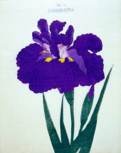 Komochi-Guma no.14, 1898 de Japanese School