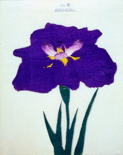 Kuro-Kumo, no.26, 1898 de Japanese School