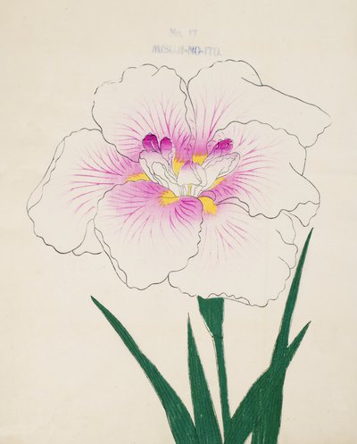 Misuji-no.-Ito, no.17, 1898 de Japanese School