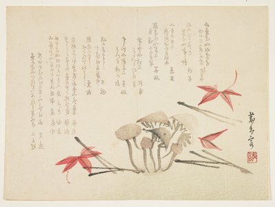 Hongos, hojas de arce y agujas de pino de Japanese School