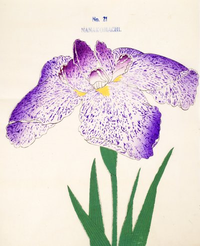 Nanakomachi, no.21, 1898 de Japanese School