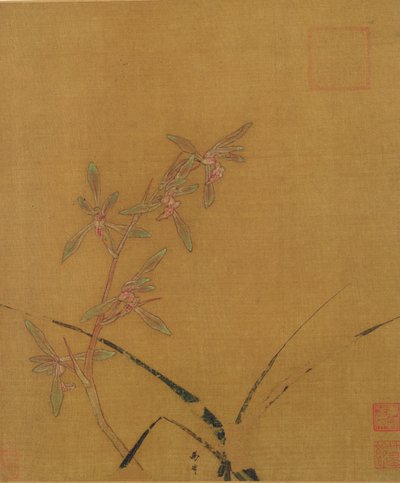 Orquídeas de Japanese School