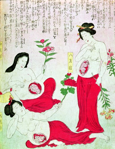 Mujeres embarazadas, 1881 de Japanese School