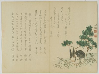 Conejo bajo el pino de Año Nuevo, c.1860 de Japanese School