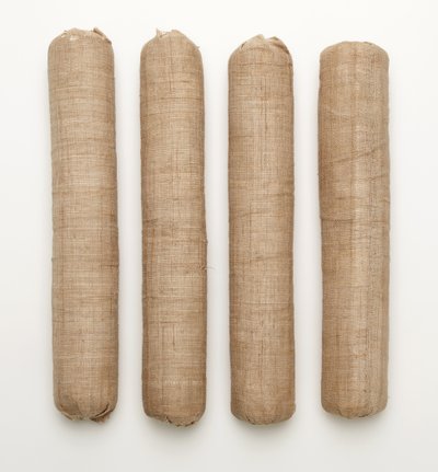Conjunto de cuatro almohadillas cilíndricas de Japanese School