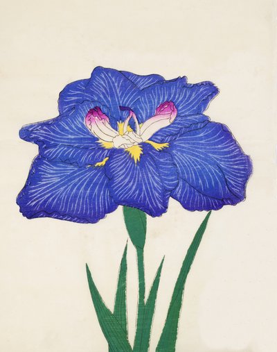 Shiga-no.-Uranami, no.3, 1898 de Japanese School