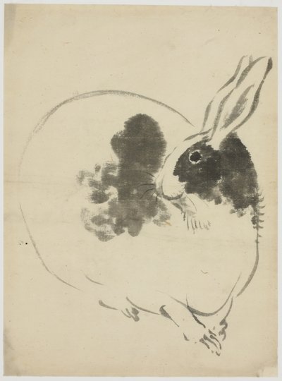 Conejo Manchado de Japanese School
