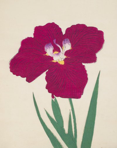 Tai-Hei-Raku, No. 18, 1890 de Japanese School