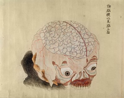 La anatomía del cerebro de la disección de una víctima de tortura de 1796, de un makimono de un doctor Midori, 1842 de Japanese School