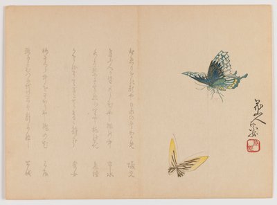 Dos mariposas, c.1860 de Japanese School