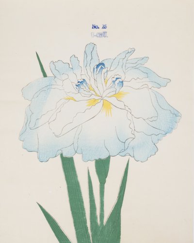 U-Chu, no.25, 1898 de Japanese School