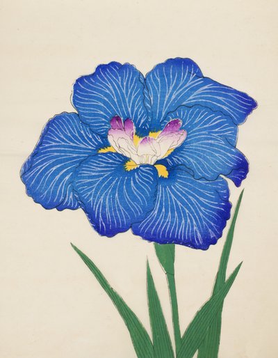 Ushio-no.-Kemuri, no.47, 1898 de Japanese School