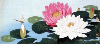 Nenúfares y libélula - impresión japonesa. de Japanese School