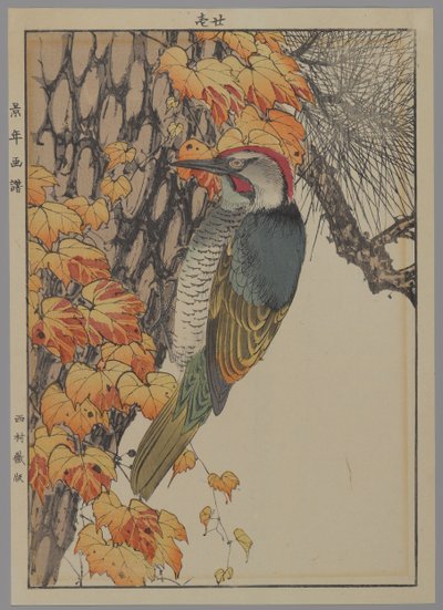 Pájaro carpintero, 1892 de Japanese School