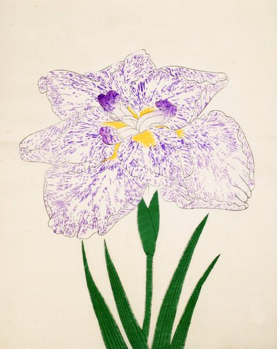 Yamato-Nishiki, No. 31, 1890 de Japanese School