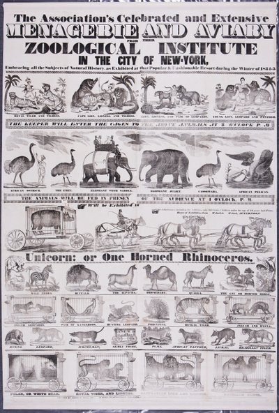 La célebre y extensa colección de la Asociación de Menagerie y Aviary de su Instituto Zoológico en la Ciudad de Nueva York de Jared W. Bell