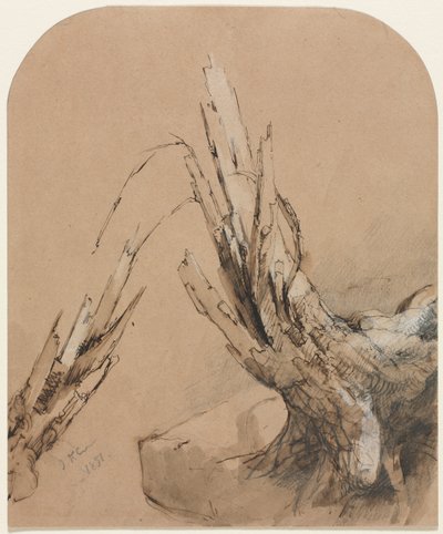 A Blasted Tree (recto) Floorplan (verso)  de Jasper F. Cropsey