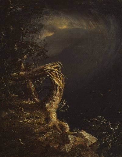Árbol destrozado de Jasper Francis Cropsey
