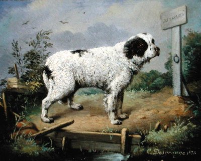 Un Terranova en un terraplén de Jean Baptiste Desgrange