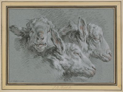 Tres cabezas de oveja, despiertas y dormidas de Jean-Baptiste Huet