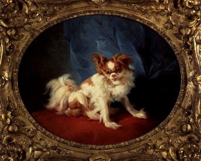 Le Petit Favori de Jean Baptiste Huet