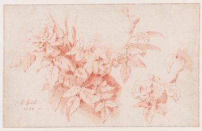 Rosas de Jean-Baptiste Huet