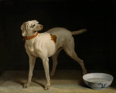 Perro de Jean Baptiste Oudry