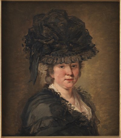 Retrato de una dama de Jean-Honore Fragonard