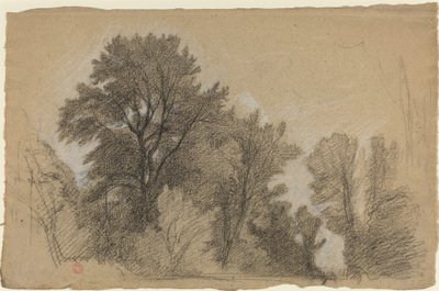 Borde de un bosque de Jean Achille Benouville