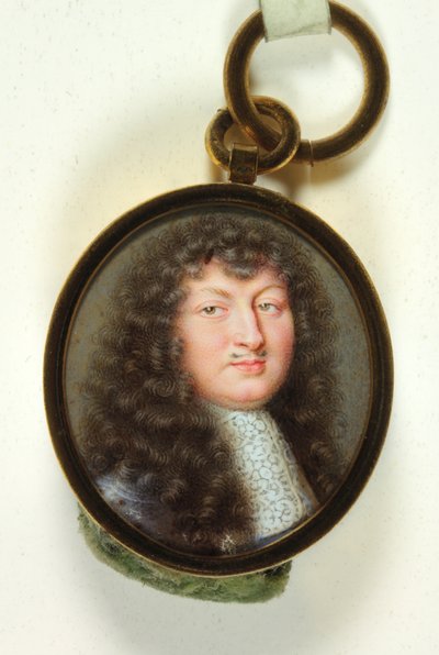 Luis XIV de Jean Adam Mathieu