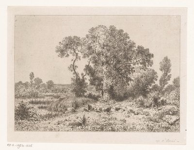 Grupo de árboles en un pantano de Jean Alexis Achard