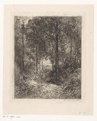 vista al bosque de Jean Alexis Achard