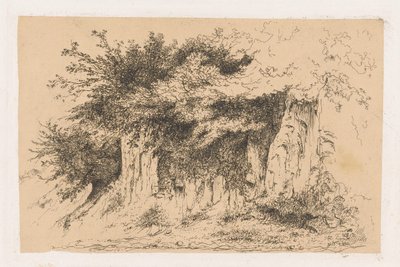 Arbustos en una pared de tierra de Jean Alexis Achard
