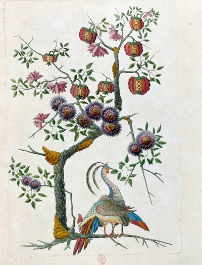 Dibujo de un jarrón chino: pájaro y rama de flores de Jean Antoine Fraisse