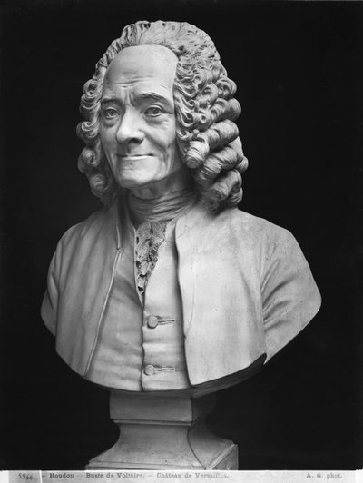 Busto de Voltaire de Jean Antoine Houdon