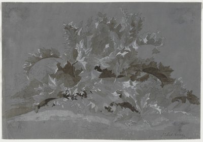 Study of Weeds de Jean Antoine Linck