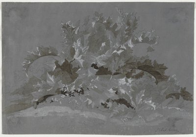 Estudio de malezas, 1800-1850 de Jean Antoine Linck