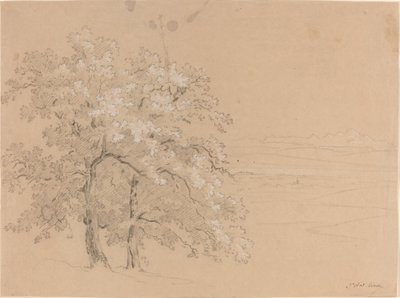 Árboles Iluminados por el Sol Frente a un Paisaje Panorámico de Jean Antoine Linck